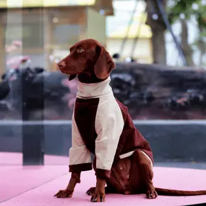 Ropa de perro de lujo francesa de diseñador OEM ODM abrigo de lana de <span class=keywords><strong>galgo</strong></span> personalizado para todas las razas 4 Patas al aire libre mangas cuello para el verano - Product Image 6