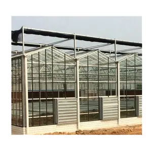 Invernadero de agricultura Vertical, estructura de acero galvanizado, vidrio verde, Multi Span Venlo hidropónico