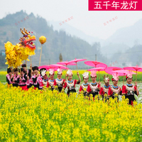 Danse du dragon chinois, lanterne LED, accessoire de spectacle, costume de dessin animé, danse du dragon et du lion du Nouvel An chinois, personnalisable
