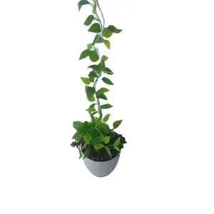 直销优质景观绿化廉价PVC番茄螺旋植物支持
