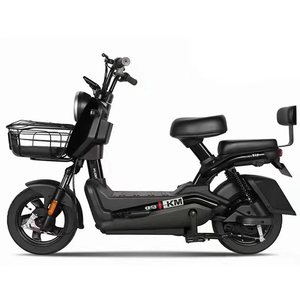 Vélo électrique personnalisé pour adultes, moteur arrière sans balais 48V 350-500W, léger, compteur kilométrique 35-50km - Product Image 2