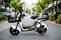 Vélo électrique de loisirs urbains, moteur 500W, cadre en acier à haute teneur en carbone, vélo électrique populaire pour adultes