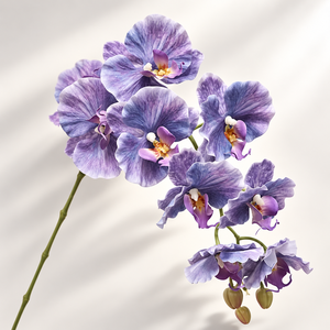 Orchidée Phalaenopsis Artificielle Personnalisée de Qualité Supérieure, Texture de Pétales Réaliste, Fleurs en Plastique Tendance, Prise en Charge OEM/ODM - Product Image 6