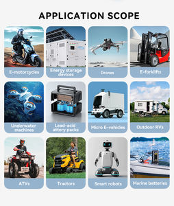 Тележка для гольфа, литий-ионное зарядное устройство для электрического велосипеда, 12 В, 24 В, 36 В, 48 В, 2 А, портативное зарядное устройство для аккумулятора Lifepo4 - Product Image 6