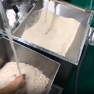 Máquina de limpieza automática de semillas de Sésamo/arroz/frijol/lavadora automática de arroz de acero inoxidable - Product Image 1