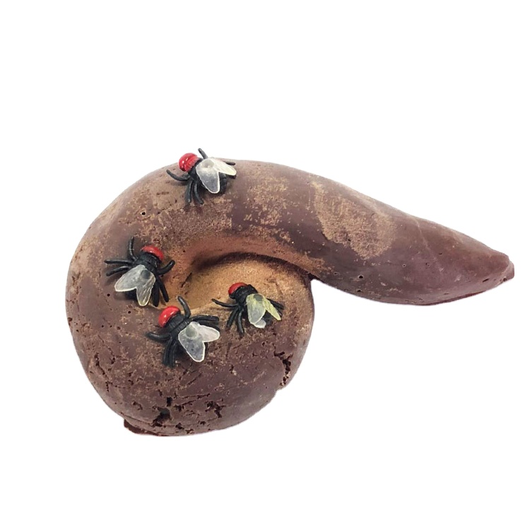 Подарок дурака, шоколадные конфеты в форме выделений, конфеты и шоколадные конфеты