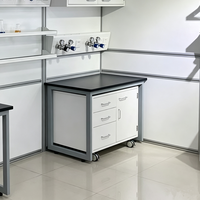 Banc de laboratoire simple à structure en acier avec armoire mobile sur pieds, plan de travail en résine phénolique, table de laboratoire anti-corrosion, taille personnalisée