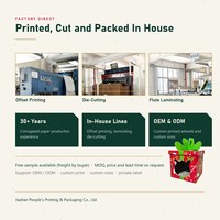 Boîte cadeau de Noël en gros pour chat, en carton, avec ruban vert et motif imprimé, pour chats d'intérieur, approvisionnement direct usine