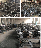 Machine À Fabriquer Des nouilles Au Népal/Machine Alimentaire Machines De Nouilles/Nouilles Faisant La Machine