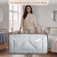 Conteneurs de rangement sous le lit 90L, lot de 4, organiseurs de placard et bacs de rangement, sacs de rangement pliables sous le lit