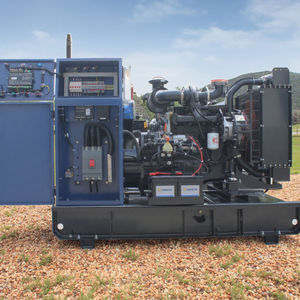 Groupe électrogène au gaz naturel de 30 kW approuvé ISO avec démarrage électrique, produit de production d'électricité, nouvelle énergie, production d'énergie - Product Image 1