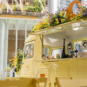 Mobile Gelato Hot Dog Dessert Cart RV <strong>Ice</strong> <strong>Cream</strong> Coffee Truck Shipping Container Food <strong>Trailer</strong> With Deep Fryer - Product Image 6