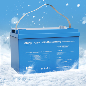 Long LiFePO4 batteria 12.8V 12V 100Ah 200Ah batteria al litio marina con BMS per la pesca BoatYacht/motore traina/RV - Product Image 1