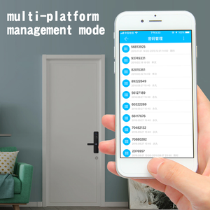 Cerradura de Puerta Digital Moderna YOUHE con Sensor de Huella Dactilar, Tarjeta y Contraseña para el Hogar, Cerradura Inteligente Tuya - Product Image 6