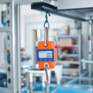 30 किलो 300 किलोग्राम मिनी प्रकार का वाटरप्रूफ डिजिटल वायरलेस क्रेन वजन पैमाने 150 किलोग्राम के साथ इलेक्ट्रॉनिक फांसी स्केल - Product Image 3