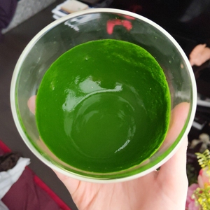 Lata personalizable de 30g/50g, el mejor polvo de té verde Matcha de grado ceremonial, Matcha orgánico de 6A disponible en bolsa, embalaje a granel - Product Image 4