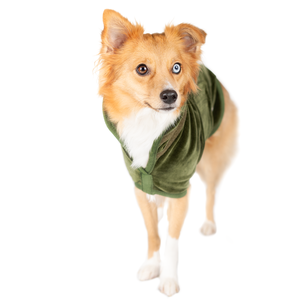 Listo para enviar Albornoz de lujo para perros Verde Doble capa 100% Algodón Terciopelo Exterior y tejido Interior OEM Toalla para mascotas Turquía - Product Image 5