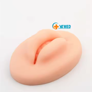 <span class=keywords><strong>Squelette</strong></span> de modèle anatomique de peau de pratique de lèvre 3D de silicone pour la formation semi-permanente de maquillage outil d'enseignement de science médicale - Product Image 6