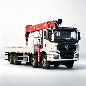 Camión Grúa de Carga Shacman 8x4 para Soporte en Tierra de Aeropuertos, Grúa Telescópica de 16T Montada en Camión - Product Image 1