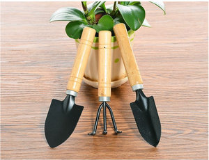 Vente en gros 3 pièces manche en bois grossier mini pelle de jardin bonsaï trousse à outils pelle à plantes en pot - Product Image 6