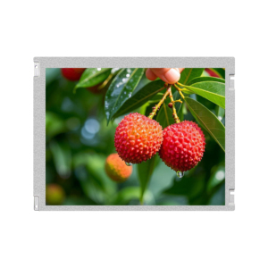 Módulo LCD Innolux G104XCE-LH1/G104X1-L04/G104ACJ-L01/G104XCE-LM1/G104ACE-LH1/ZE104IA-03D/03A, Panel de Pantalla LCD - Product Image 1