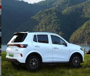 Vehículo Eléctrico de Cuatro Ruedas para Uso Doméstico, Nueva Energía, Movilidad para Personas Mayores, Doble Propósito Gasolina-Eléctrico - Product Image 3