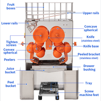 Elektrische sapcentrifuge met hoge productiviteit voor sinaasappelsap, te koop, geschikt voor fruitverwerkingsbedrijven en limonadeproductie.