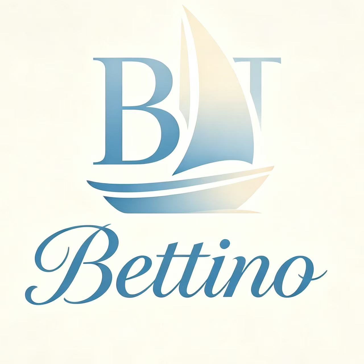 Guizhou Bettino Technology Co., Ltd. logo