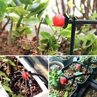 Boquilla de Riego por Goteo de Alta Calidad, Personalizable, de Ocho Orificios, con Tapa Roja Pequeña, Ajustable, para Jardín y Agricultura, Material ABS, Fácil de Usar
