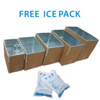 Boîtes de transport alimentaire en carton isothermes recyclables pour sushi et chips, gain de place