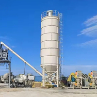 1000ton 2000ton calcestruzzo fondazione Silo prezzi Silo di cemento con nastro trasportatore a vite con una scala