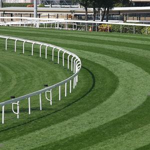 Clôture <span class=keywords><strong>de</strong></span> <span class=keywords><strong>course</strong></span> <span class=keywords><strong>de</strong></span> <span class=keywords><strong>chevaux</strong></span> en PVC du fabricant FenTech avec bois traité sous pression naturel - Product Image 4