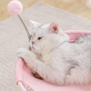 Hamaca de malla suave y transpirable para mascotas pequeñas, cama para dormir para interior, mapa de casa, para gatos, gran oferta - Product Image 5