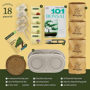 Kit de démarrage bonsaï de luxe avec 10 fentes sac en <span class=keywords><strong>toile</strong></span> verte ensemble d'outils de bonsaï de jardin en acier inoxydable <span class=keywords><strong>pour</strong></span> la décoration de la maison et la <span class=keywords><strong>plantation</strong></span> - Product Image 2