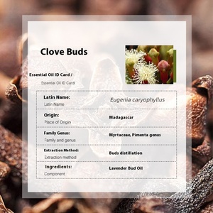 Biologico distillato <span class=keywords><strong>di</strong></span> alta qualità madoval chiodo <span class=keywords><strong>di</strong></span> <span class=keywords><strong>garofano</strong></span> bocciolo <span class=keywords><strong>olio</strong></span> <span class=keywords><strong>essenziale</strong></span> per aromaterapia e cura della pelle materie prime all'ingrosso - Product Image 3