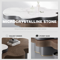 Table basse en forme de nuage en placage de noyer design haut de gamme BN-2520 rotative de salon en pierre microcristalline