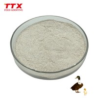 Volaille probiotiques bacillus subtilis poulet probiotique