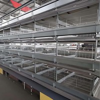 Cages à batterie à prix abordables pour volailles, type H, pour 20 000 poulets, équipement d'élevage avicole