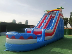 زحليقة هوائية جافة ضخمة بمسارين للتأجير - Product Image 5