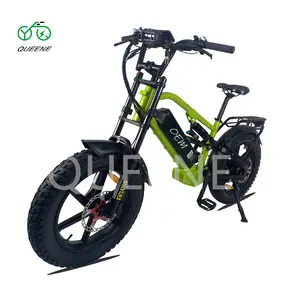 QUEENE Stock E-bike 48v 750w 1000w Electric Bicycle High Speed Electric Fat Tire Bike