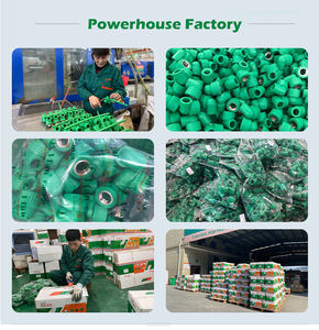 IFAN水道管2-5ウェイプラスチックチューブパイプと継手めねじpprパイプ継手バルブマニホールド - Product Image 6