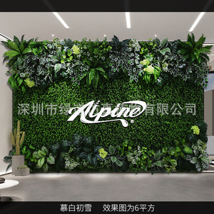 Mur végétal artificiel Greenway, 6 mètres carrés, décoration intérieure verte simulée, style campagnard, aspect naturel - Product Image 1
