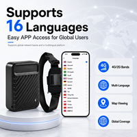 Localizador GPS Inalámbrico 4G 2G WiFi, Resistente al Agua, 10000mAh, Geolocalización, Alarma de Batería Baja, Cobertura de Red Global, Compatible con Múltiples Sistemas