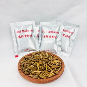 Vers de farine préservés durables, appâts naturels parfumés, leurres de pêche prêts à l'emploi, appâts frais pour les pêcheurs professionnels et les magasins. - Product Image 1