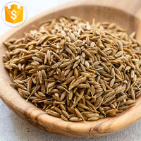 Graines de cumin vertes entières séchées AD brutes en vrac OEM de Chine