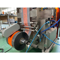 Peseuse Multi-Têtes 10/14 Têtes Automatique pour Granulés, Chips de Banane, Grains, Bonbons Durs et Chips de Pomme de Terre