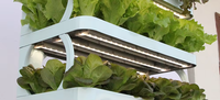 Kit de famille hydroponique LED Grow Light