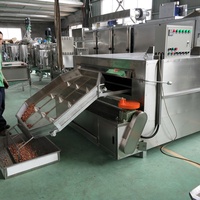 Four à torréfier oscillant pour cacahuètes enrobées, amandes enrobées, noix enrobées, machine à torréfier de type oscillant