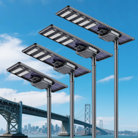 Lampadaire Solaire LED Tout-en-un Haute Luminosité 180LM/W IP65 avec Batterie LiFePO4 Double MPPT et Capteur de Mouvement pour Autoroutes et Routes