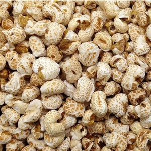 เครื่องทำข้าวโพดพองขนาดใหญ่/เครื่องทำข้าวโพดพองแบบโบราณ เครื่องทำดอกข้าวโพด น้ำมันน้อยและน้ำตาลน้อย - Product Image 2